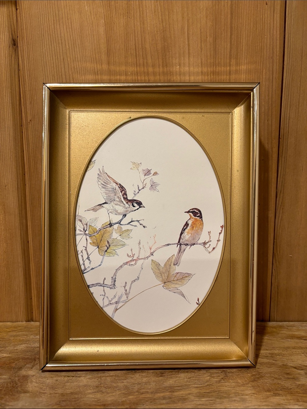 Gold Framed Bird Art Print - Oval Mat